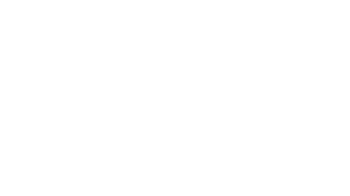 Saer